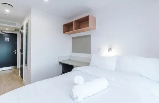 xqksq1viq7purbgzkouh